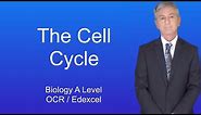 A Level Biology Revision "The Cell Cycle"