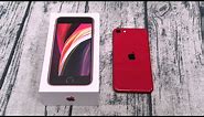 iPhone SE 2020 "Unboxing and First Impressions"
