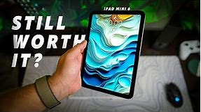 Should YOU Buy The iPad Mini 6 in 2024? DON'T WASTE YOUR MONEY!