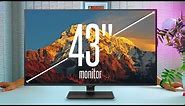 How big is TOO BIG? My Review of LG's MASSIVE 43" IPS 4K Monitor [43UD79]
