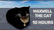 Maxwell the Cat Theme 10 hours