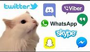 Cat MEOW but Social Media ringtones