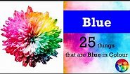 Blue Colour | 25 things that are Blue in Colour | Blue in Nature