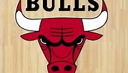 Chicago Bulls Logo History #nba #shorts