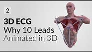 10 lead vs 12 lead ECG explained in 3D | 3D ECG mobile App