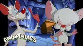 Pinky & The Brain moments that make me question who's REALLY the genius | Animaniacs @GenerationWB