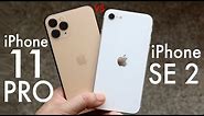 iPhone SE (2020) Vs iPhone 11 Pro! (Comparison) (Review)