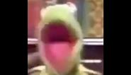 kermit the frog being angry | compilation