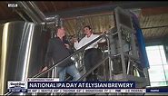 National IPA day at Elysian Brewery | FOX 13 Seattle