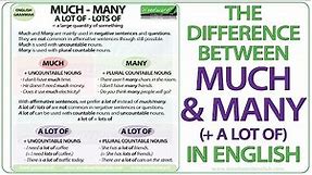 MUCH vs. MANY vs. A LOT OF – English Grammar Lesson