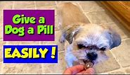 How I Give My Picky Dog Her Pills (Works EVERY TIME!)
