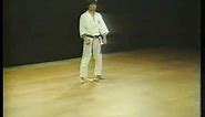 Heian Godan - Shotokan Karate
