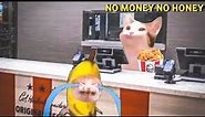 Banana cat and happy cat videos #happycats #bananacat #funny