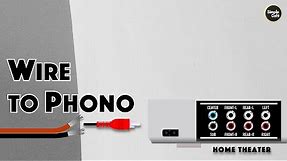 Speaker Wire to Phono (RCA Plug)