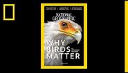 See 130 Years of National Geographic Covers in Under 2 Minutes | National Geographic
