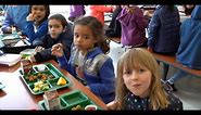 Kindergarten School Lunch