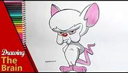 Drawing The Brain From Pinky and the Brain