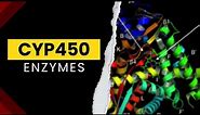 Cyp450 Enzymes | Cytochrome P450 | Drug metabolism | Pharmacology