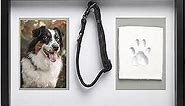 Pearhead Pawprints Collar Frame, Pet Keepsake Photo Frame, Clay Pawprint and Collar Frame, Pet Memorial Picture Frame