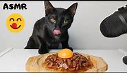 Cat eating Egg Yolk & Wet food ASMR
