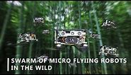 Swarm of Micro Flying Robots in the Wild [All]