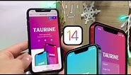 Taurine (TrollStore) Jailbreak Easy Guide