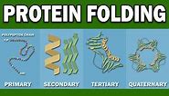 PROTEIN FOLDING