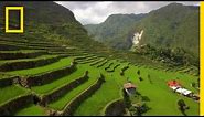 Soar Over the Lush Rice Terraces of the Philippines | National Geographic