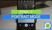 Pixel 2: How to use Portrait Mode