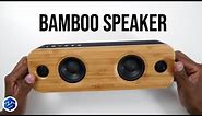 AOMAIS LIFE 30W Bamboo Speakers Review