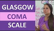 Glasgow Coma Scale Assessment Nursing NCLEX Mnemonic