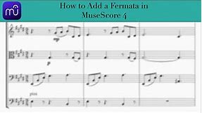 How to add a Fermata in Musescore 4
