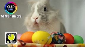 Easter Bunny Screensaver - Easter - 10 Hours - 4K - OLED Safe - No Burn-in