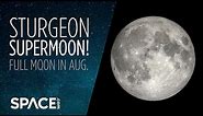 Full moon in Aug. 2022 is the Sturgeon Supermoon!