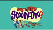What's New, Scooby Doo Hindi Opening Song HD | Hindi Dub | Cartoon Network India