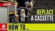 How To Replace Your Cassette | MTB Tech