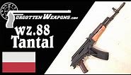 wz.88 Tantal: Poland's Alternative to the AK-74