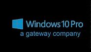 windows 10 Pro logo 1