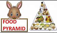 FOOD PYRAMID || HEALTHY DIET || HEALTHY PLATE || SCIENCE VIDEO FOR CHILDREN
