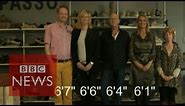 Why are the Dutch so tall? BBC News