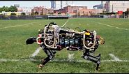 MIT Robotic Cheetah