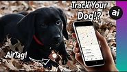 Can You Use AirTag to TRACK Your Pets!?! What About Kids!?