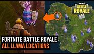 How to find ALL SUPER RARE Llama Locations in Fortnite Battle Royale