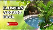 Creating a Stunning Floral Paradise | how to plant Flowers Around Your Pool