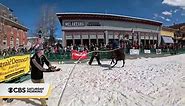 Learn about skijoring a unique sport that combines horse racing and skiing