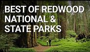 Top Things You NEED To Do In Redwood National Park, California