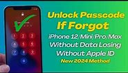 iPhone 12 Series Unlock ! Forgot iPhone 12/Pro/Max Passcode Unlock Without Data Losing ! 2024