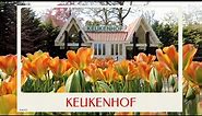 calm journey into the realm of lovely colourful tulips, keukenhof tulip gardens, netherland tour