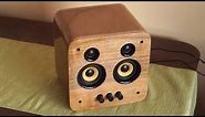 Making a DIY speaker out of wood and old PC speakers