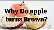 Why Do Apples Turn Brown?|Oxidation in Apples.